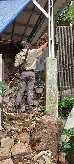 Jasa anti rayap indonesian pest